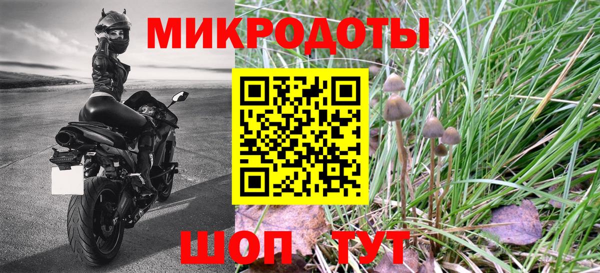 Галлюциногенные грибы мицелий  Вход с VPN  Малгобек  Галлюциногенные грибы мицелий 